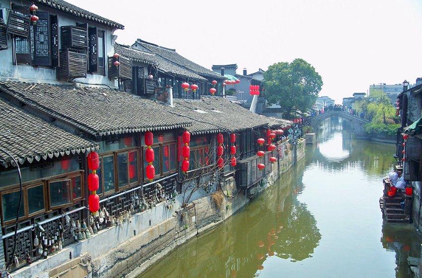 逃离棕榈树森林